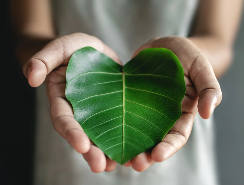 Responsabilidade Social